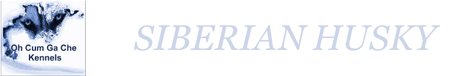 Siberian Husky Kennels - Logo