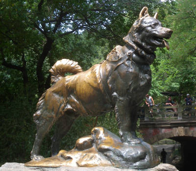 La statua di Balto dedicata al cane da slitta. Central Park NYC